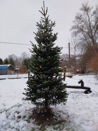 Obrázek WhatsApp, 2025-11-30 v 15.18.11_34b65e9a