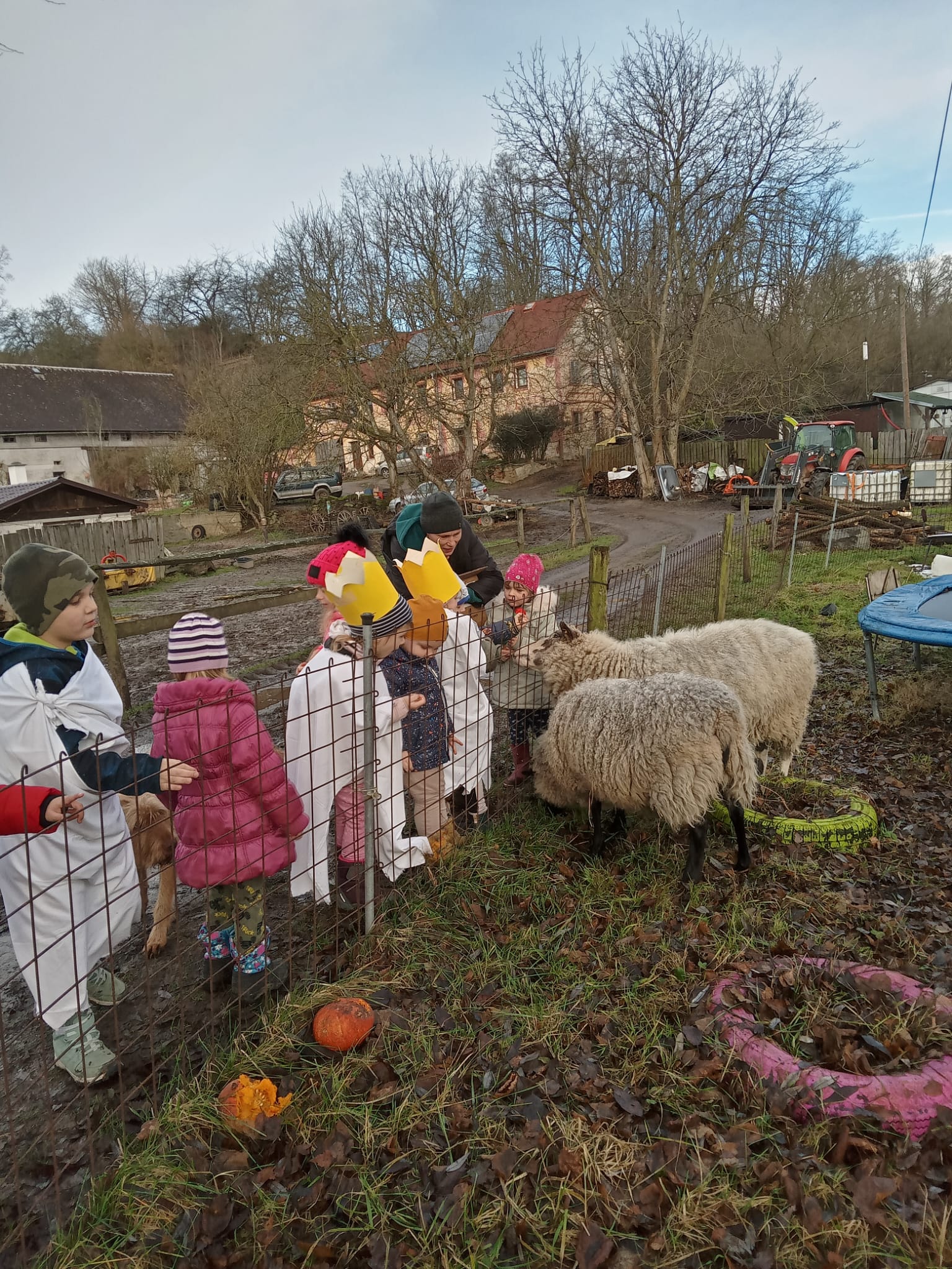 Ovečky si pohladíme, do školky se navrátíme.