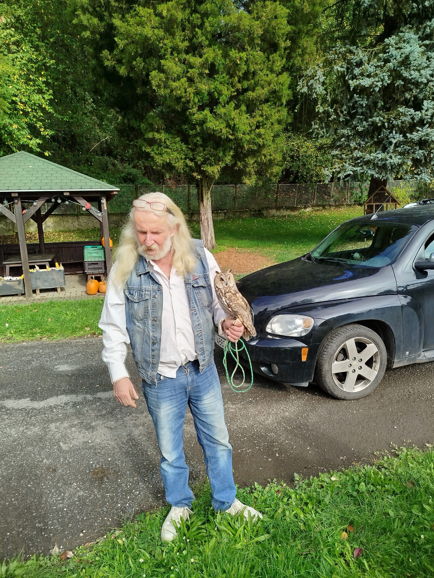 Obrázek WhatsApp, 2025-09-26 v 13.25.49_b18b5549