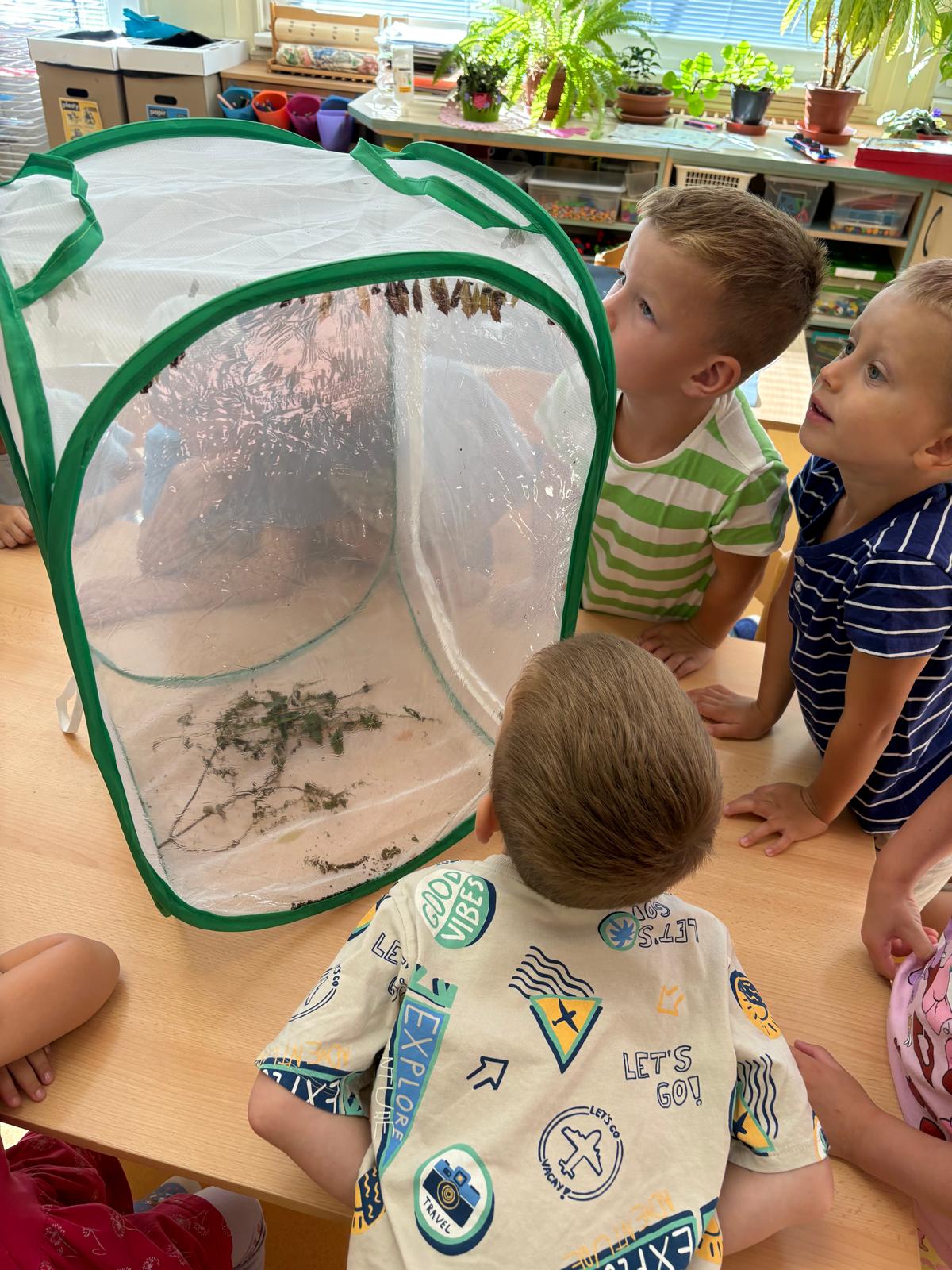 Obrázek WhatsApp, 2025-09-05 v 13.05.47_9db2209a