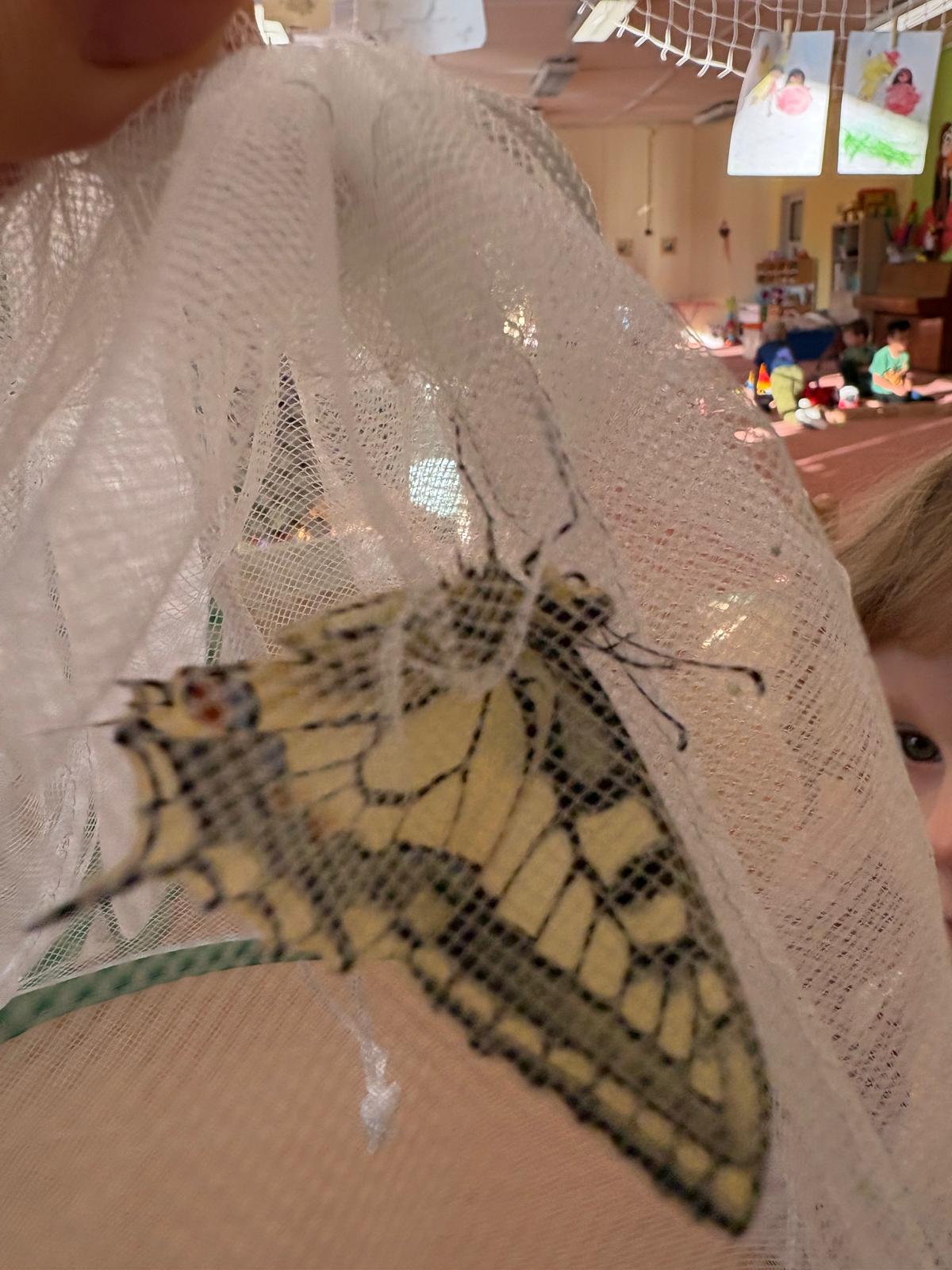 Obrázek WhatsApp, 2025-09-09 v 09.15.17_d3886ecd