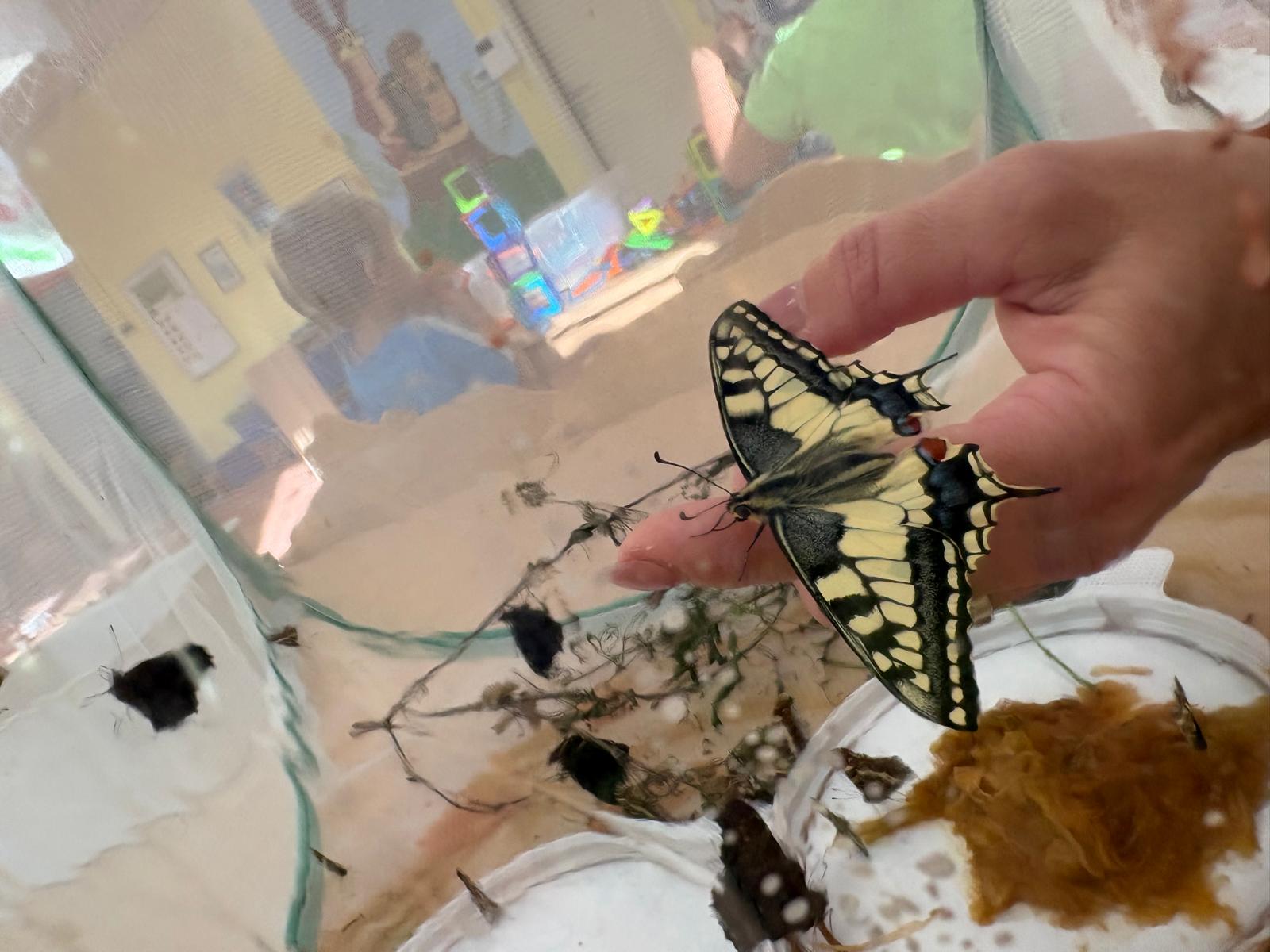 Obrázek WhatsApp, 2025-09-09 v 09.15.18_7df44e74