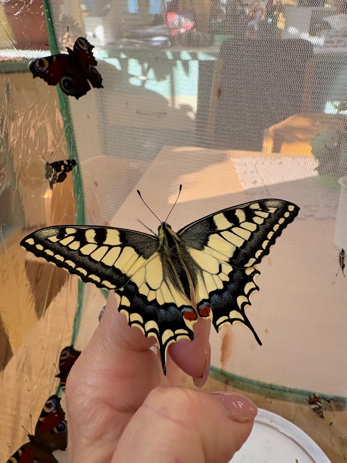 Obrázek WhatsApp, 2025-09-09 v 09.15.18_c59ef349