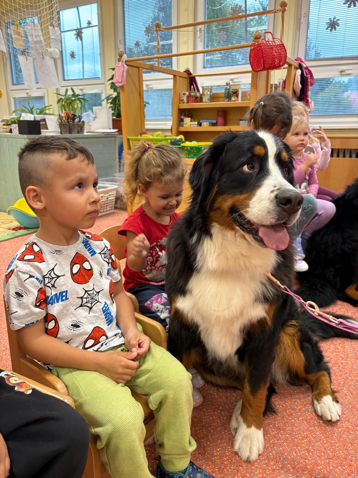 Obrázek WhatsApp, 2025-10-23 v 13.44.14_0f9b866c