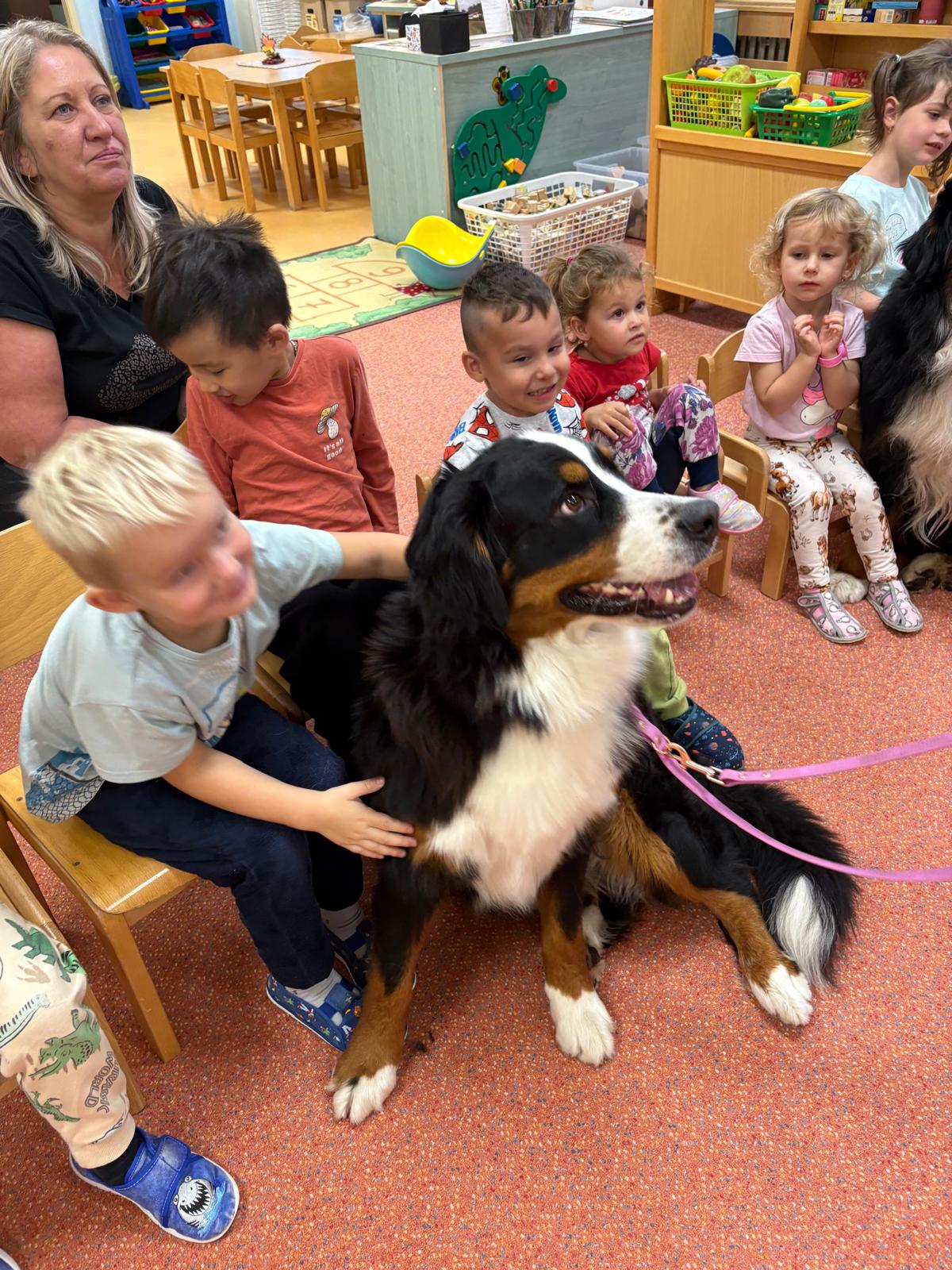 Obrázek WhatsApp, 2025-10-23 v 13.44.14_9def8673