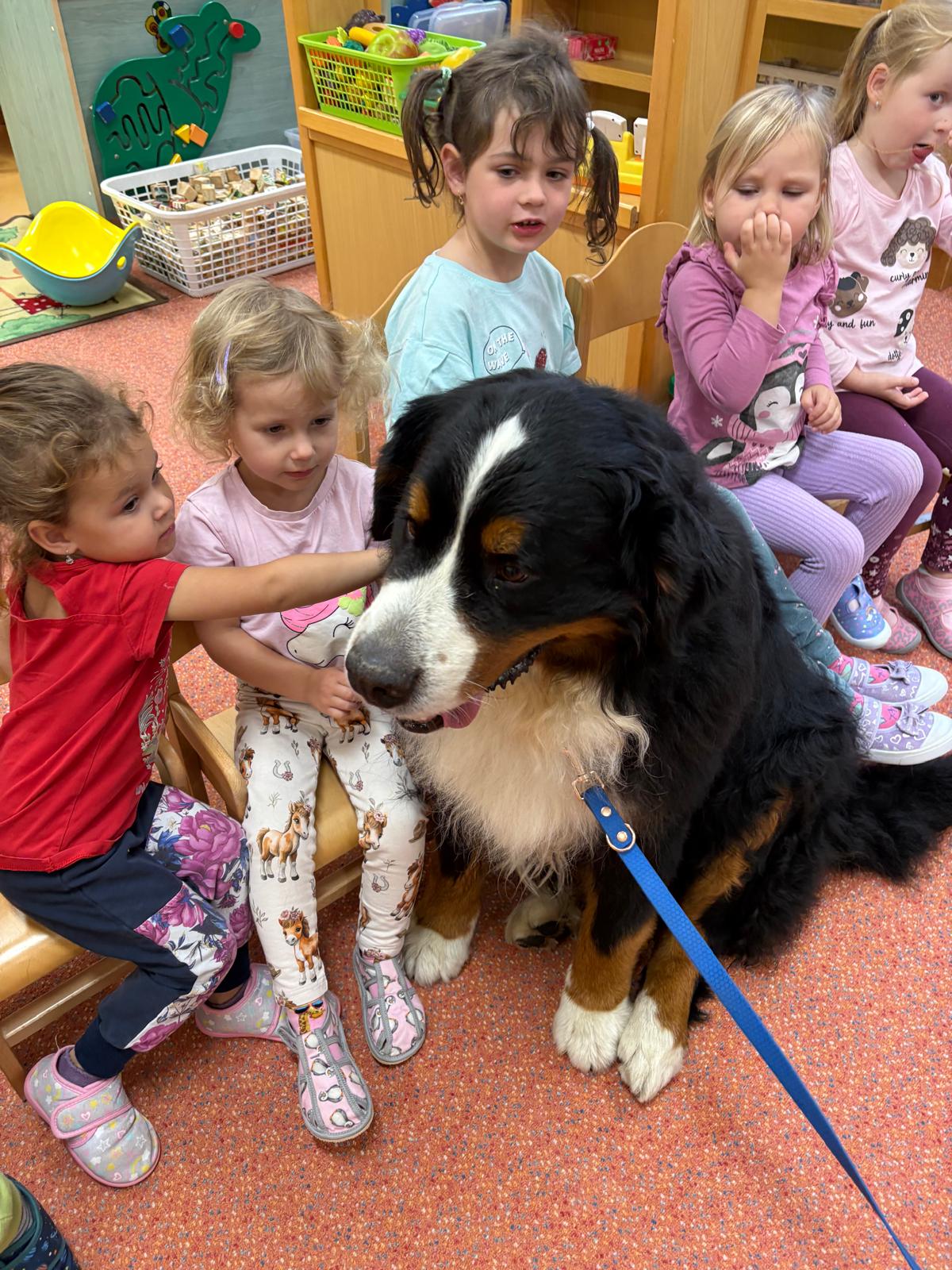 Obrázek WhatsApp, 2025-10-23 v 13.44.14_50d5be3b