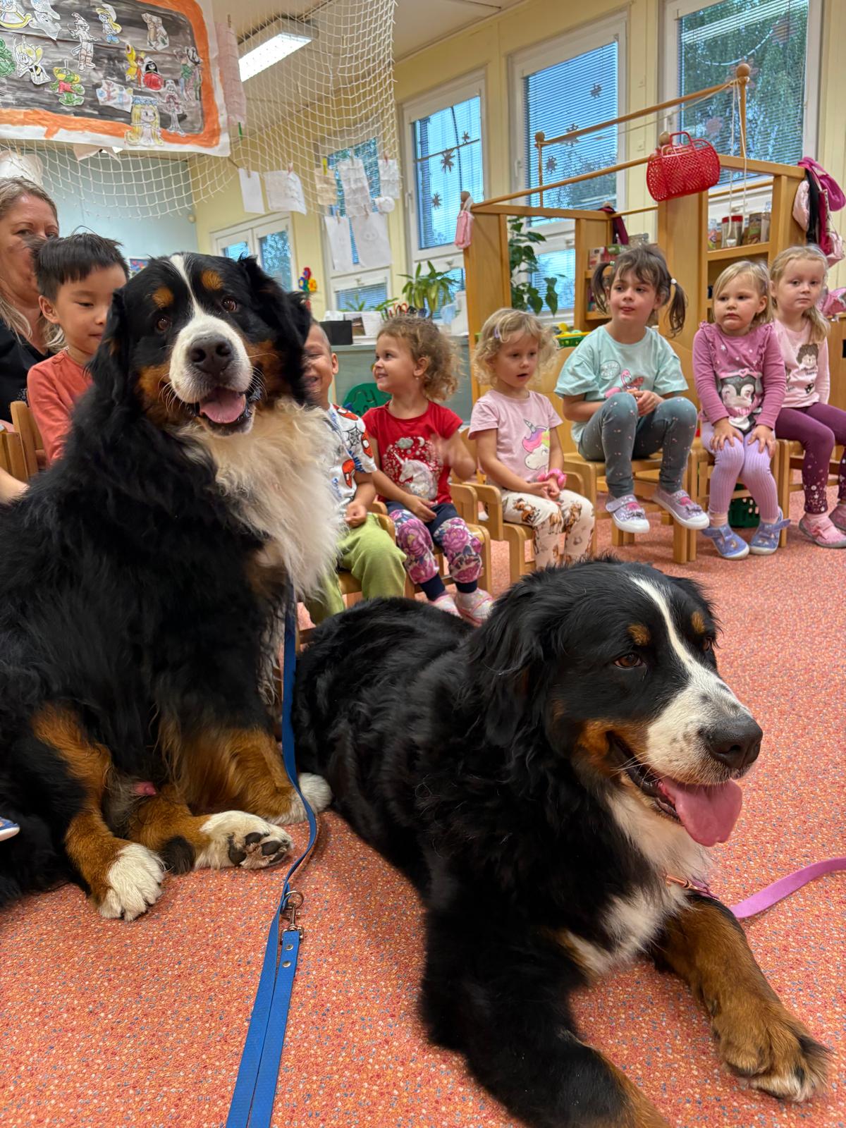 Obrázek WhatsApp, 2025-10-23 v 13.44.14_06968f21