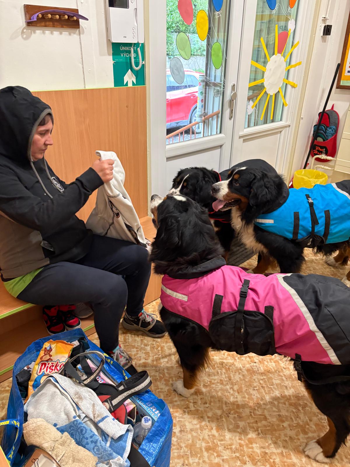 Obrázek WhatsApp, 2025-10-23 v 13.44.15_4ffc0ca0