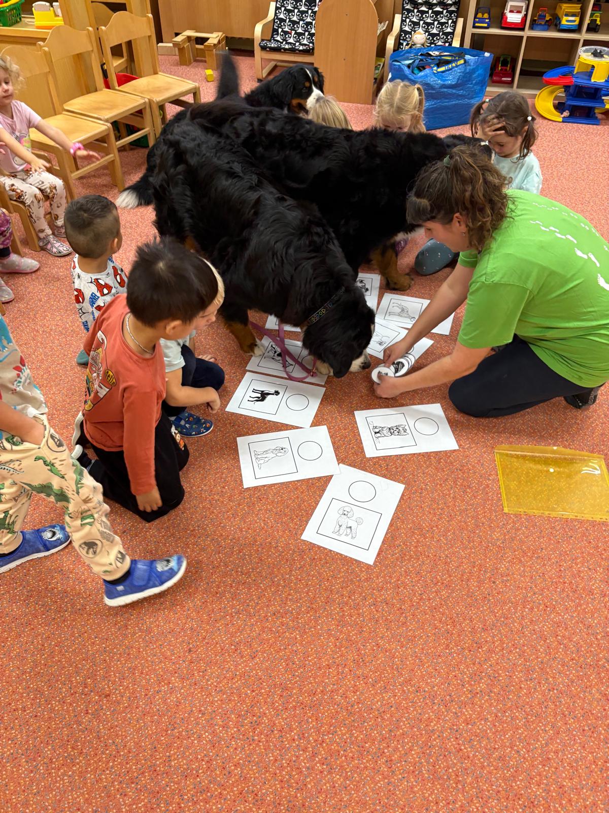 Obrázek WhatsApp, 2025-10-23 v 13.44.15_9a905fe6