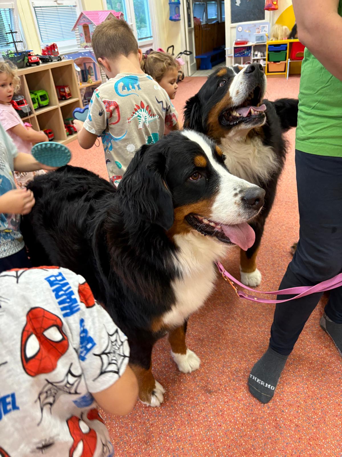 Obrázek WhatsApp, 2025-10-23 v 13.44.15_53f053a3