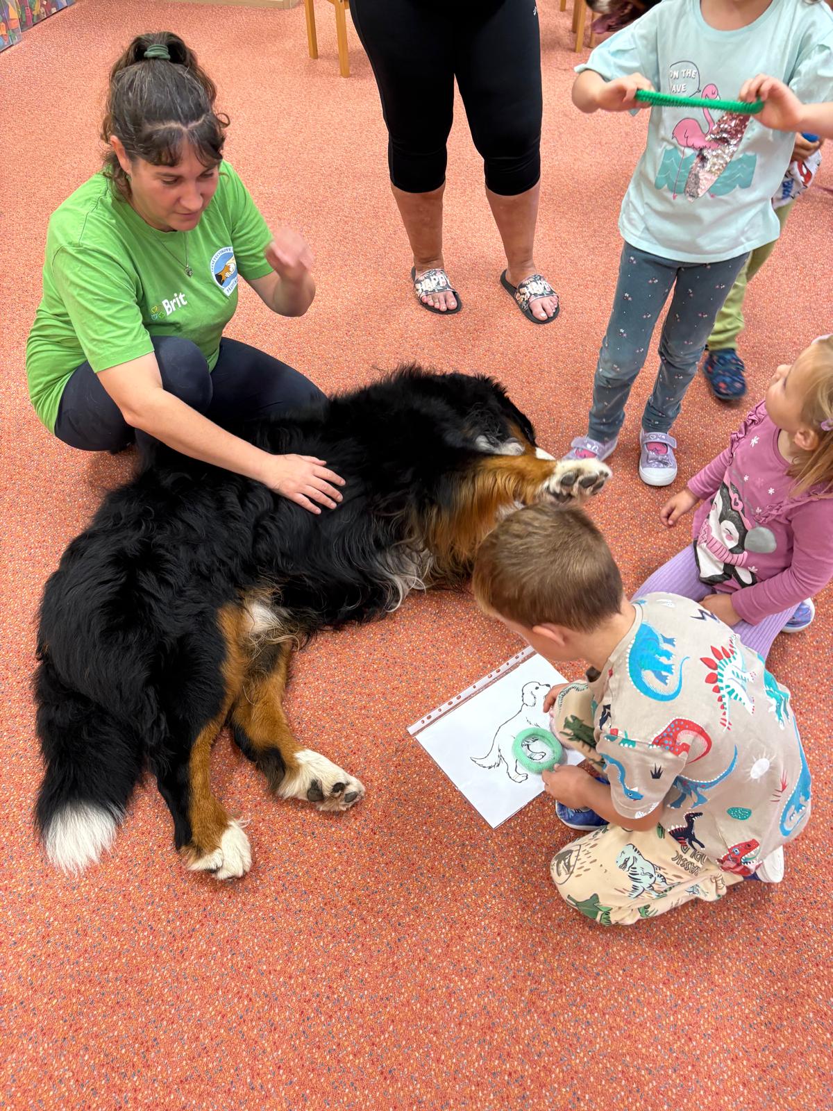 Obrázek WhatsApp, 2025-10-23 v 13.44.15_60e46874