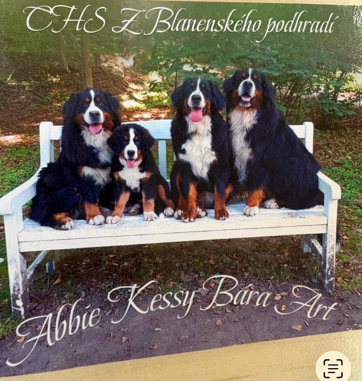 Obrázek WhatsApp, 2025-10-23 v 13.44.15_424e207f