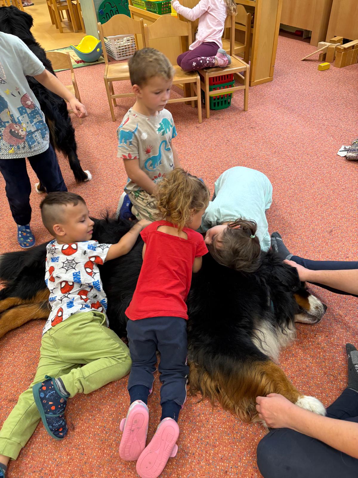 Obrázek WhatsApp, 2025-10-23 v 13.44.15_474ad3c4