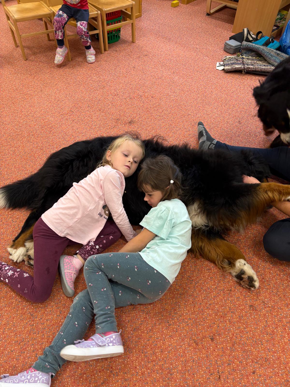 Obrázek WhatsApp, 2025-10-23 v 13.44.15_1755c8d3