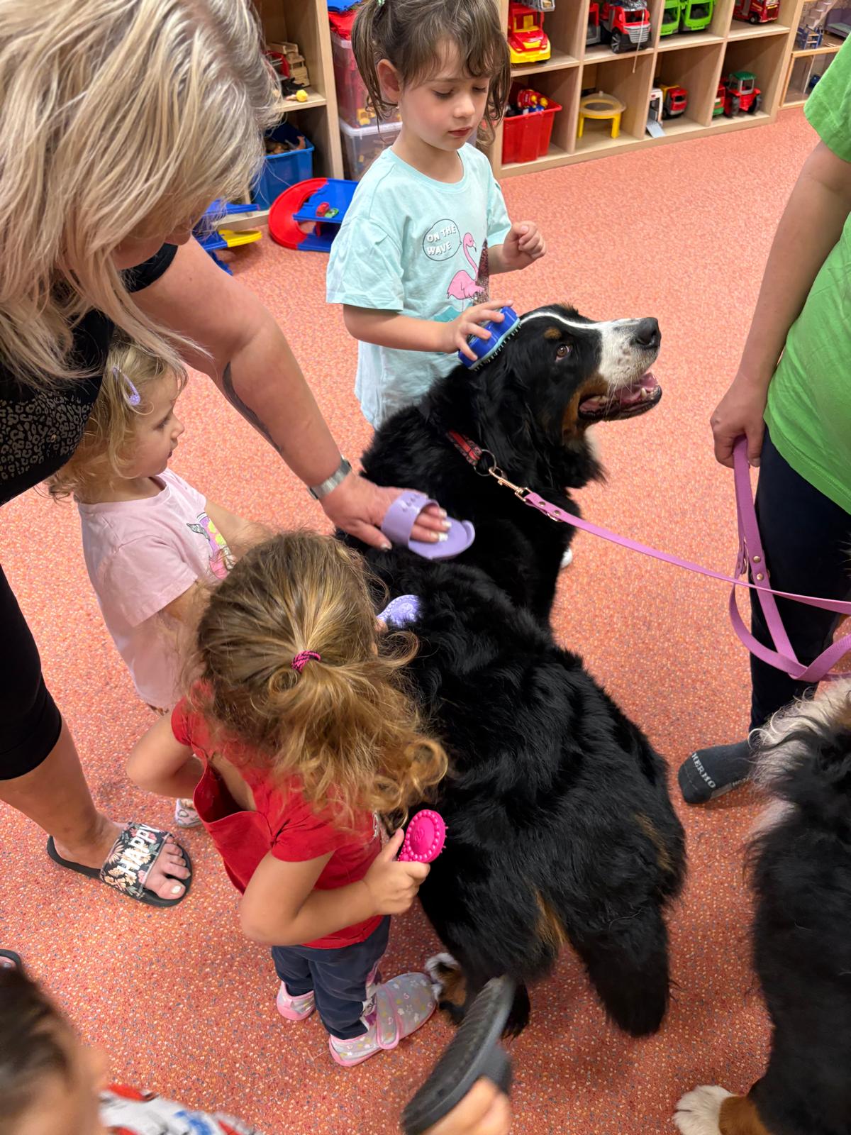 Obrázek WhatsApp, 2025-10-23 v 13.44.15_60158813