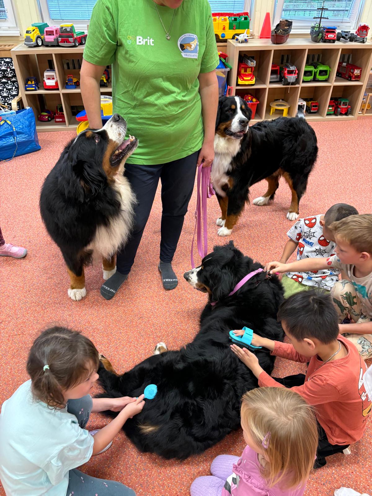 Obrázek WhatsApp, 2025-10-23 v 13.44.15_a2c97de9