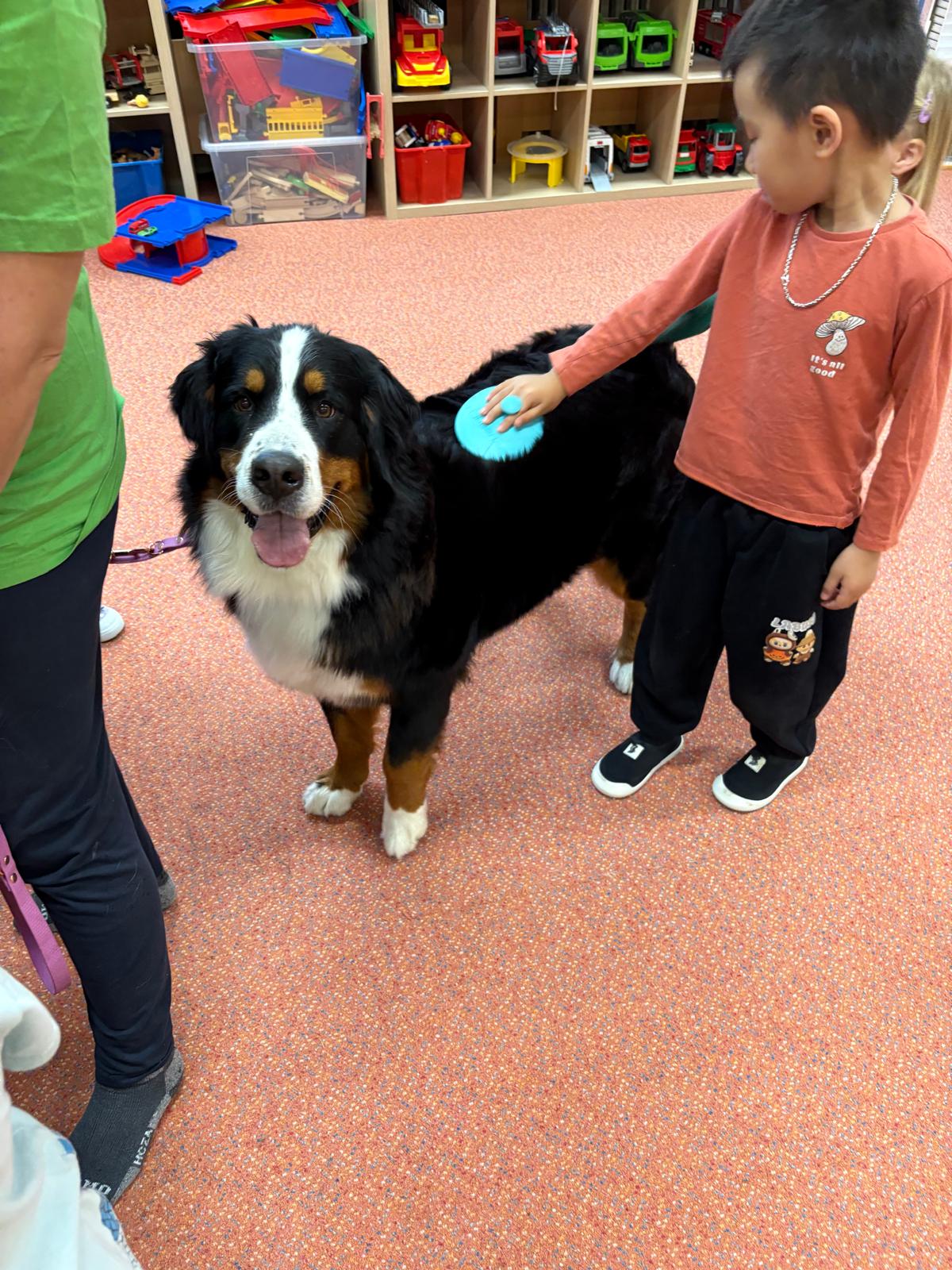 Obrázek WhatsApp, 2025-10-23 v 13.44.15_b4d57ef4