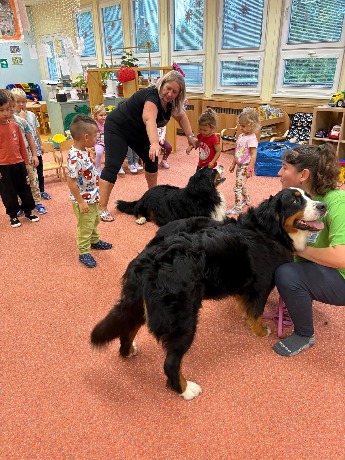 Obrázek WhatsApp, 2025-10-23 v 13.44.15_cebeed44