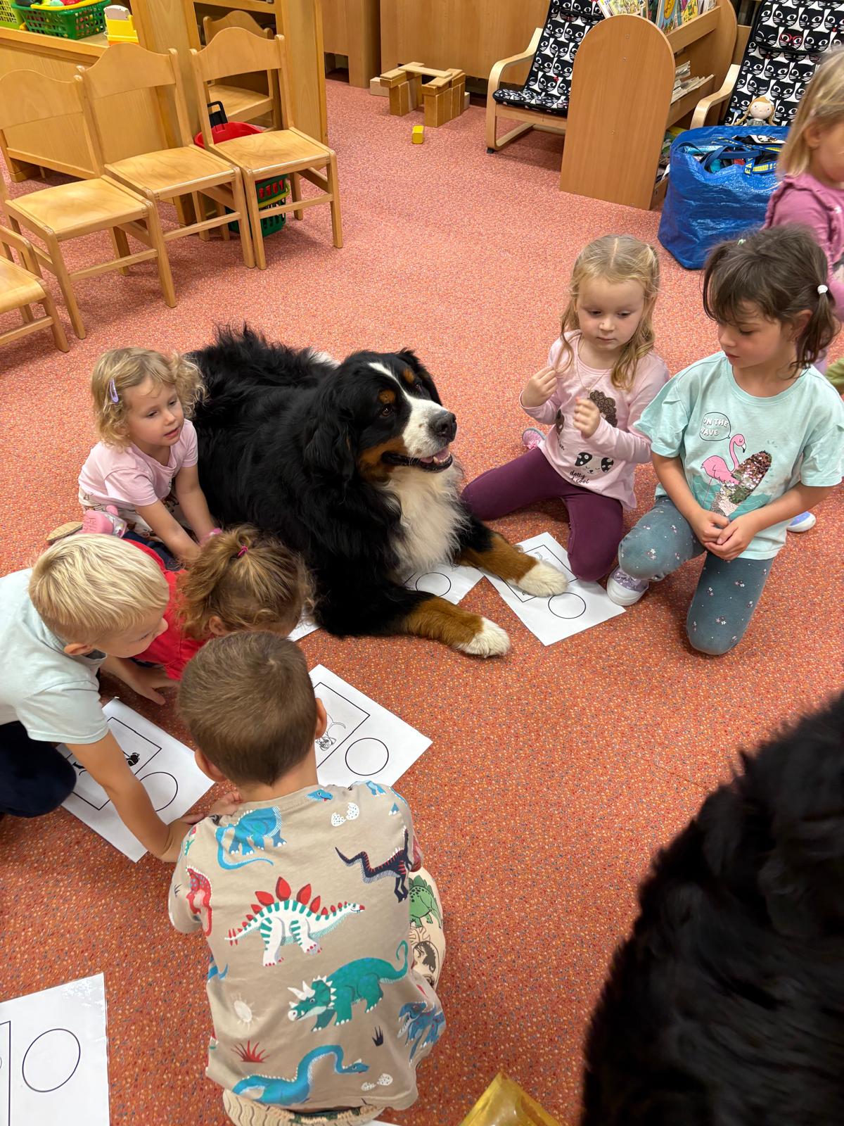 Obrázek WhatsApp, 2025-10-23 v 13.44.15_dd0e391b