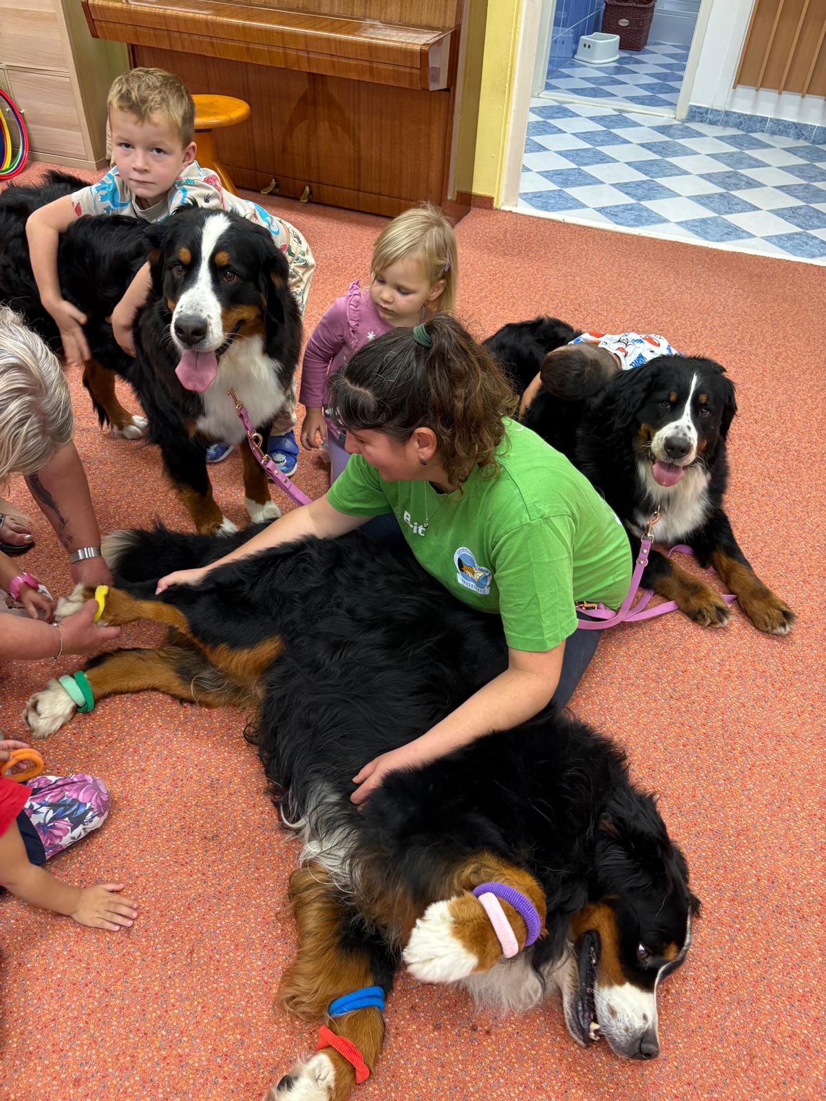 Obrázek WhatsApp, 2025-10-23 v 13.44.15_e97aa3d0