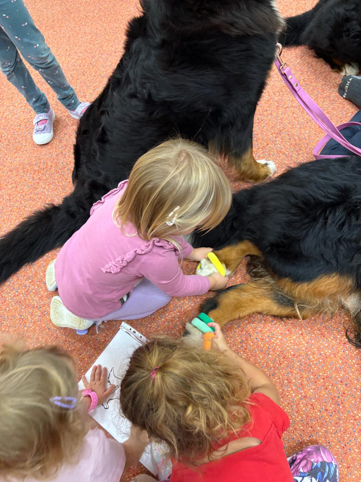 Obrázek WhatsApp, 2025-10-23 v 13.44.15_e153aa4c