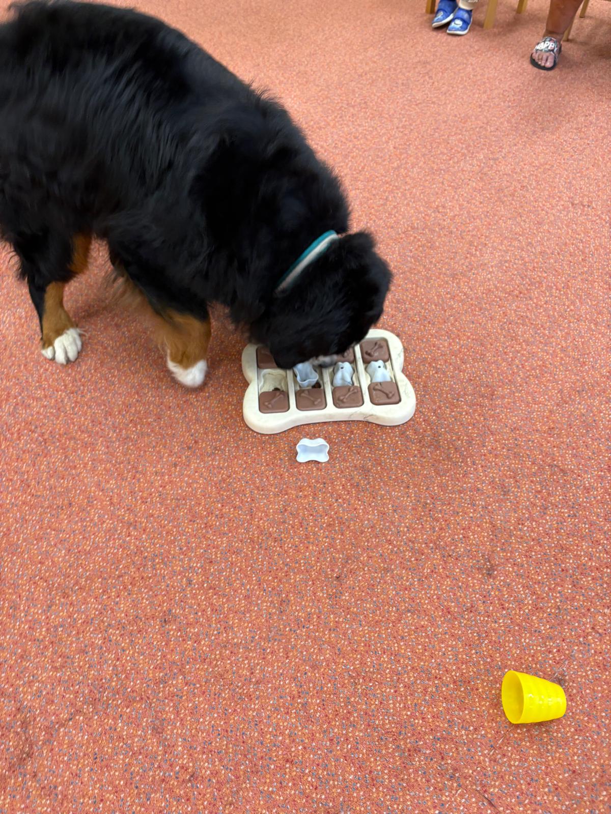 Obrázek WhatsApp, 2025-10-23 v 13.44.15_edf86564