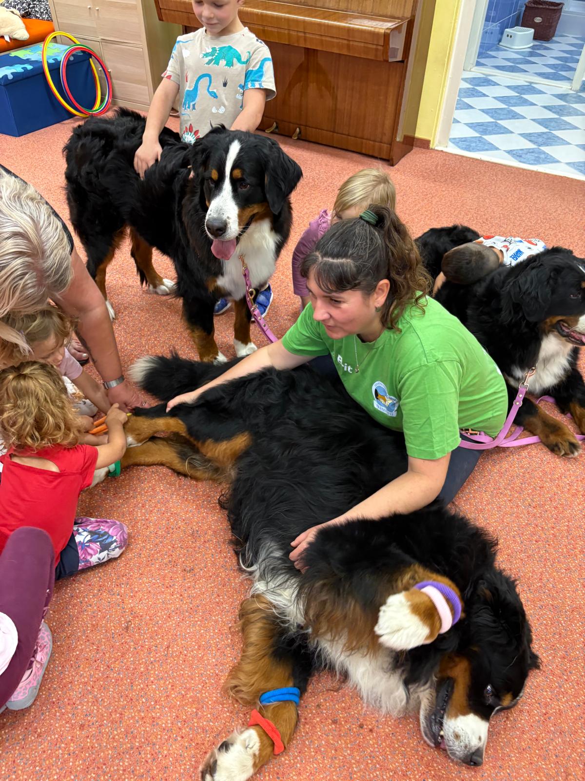 Obrázek WhatsApp, 2025-10-23 v 13.44.15_fd8bb573