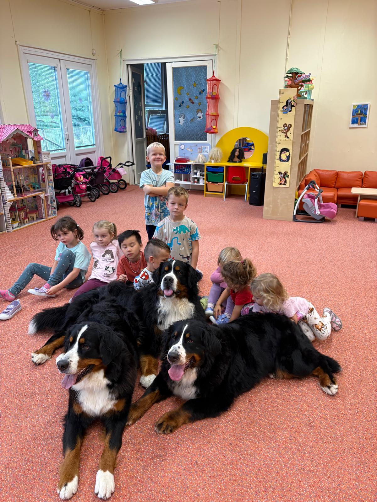 Obrázek WhatsApp, 2025-10-23 v 13.44.15_ffdb912e