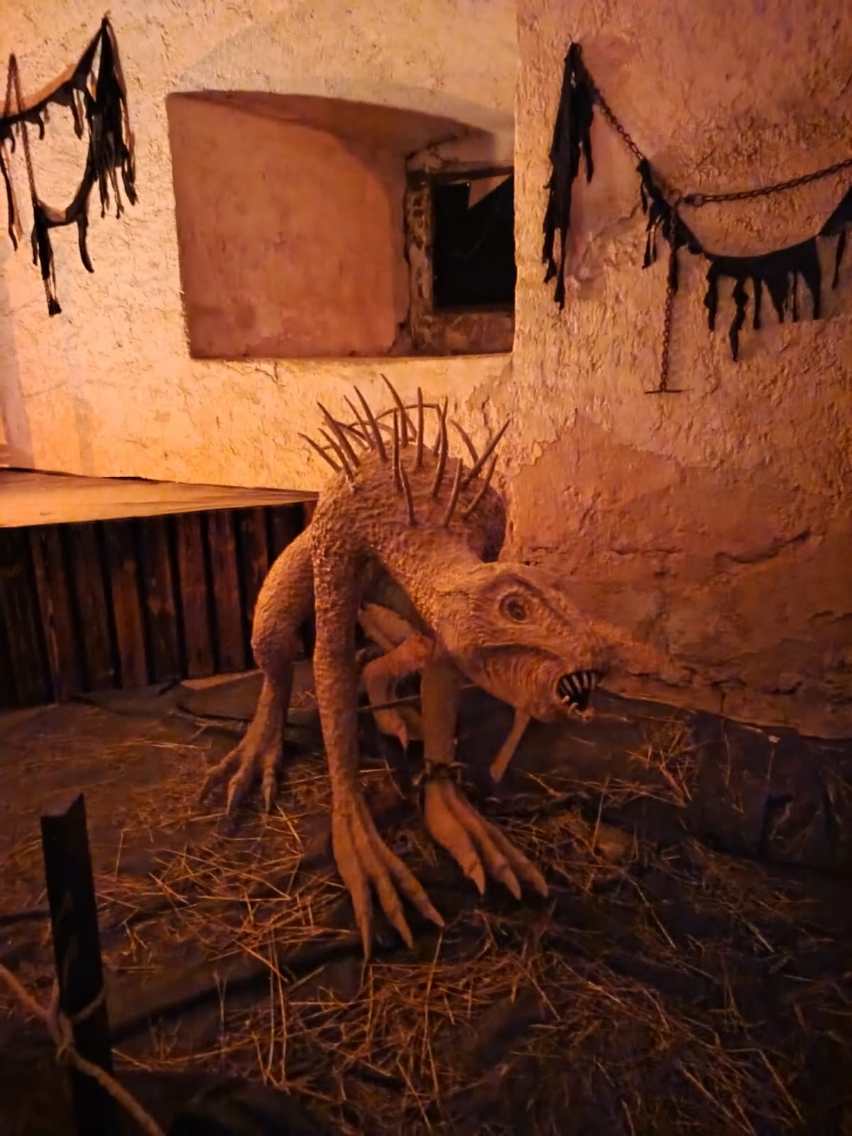 Obrázek WhatsApp, 2025-12-02 v 14.16.35_5efde3b0